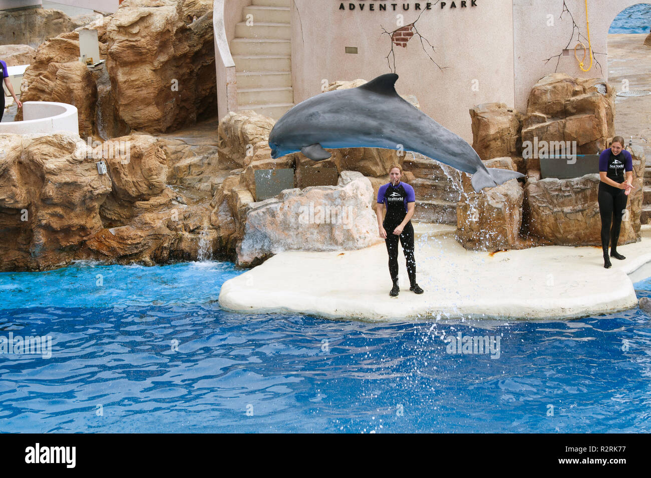 SAN DIEGO, Kalifornien, USA - Juni 3, 2009: Es gibt eine Darstellung. Delphin Show. Die Delphine, die aus dem Wasser gesprungen ist. Sea World Stockfoto