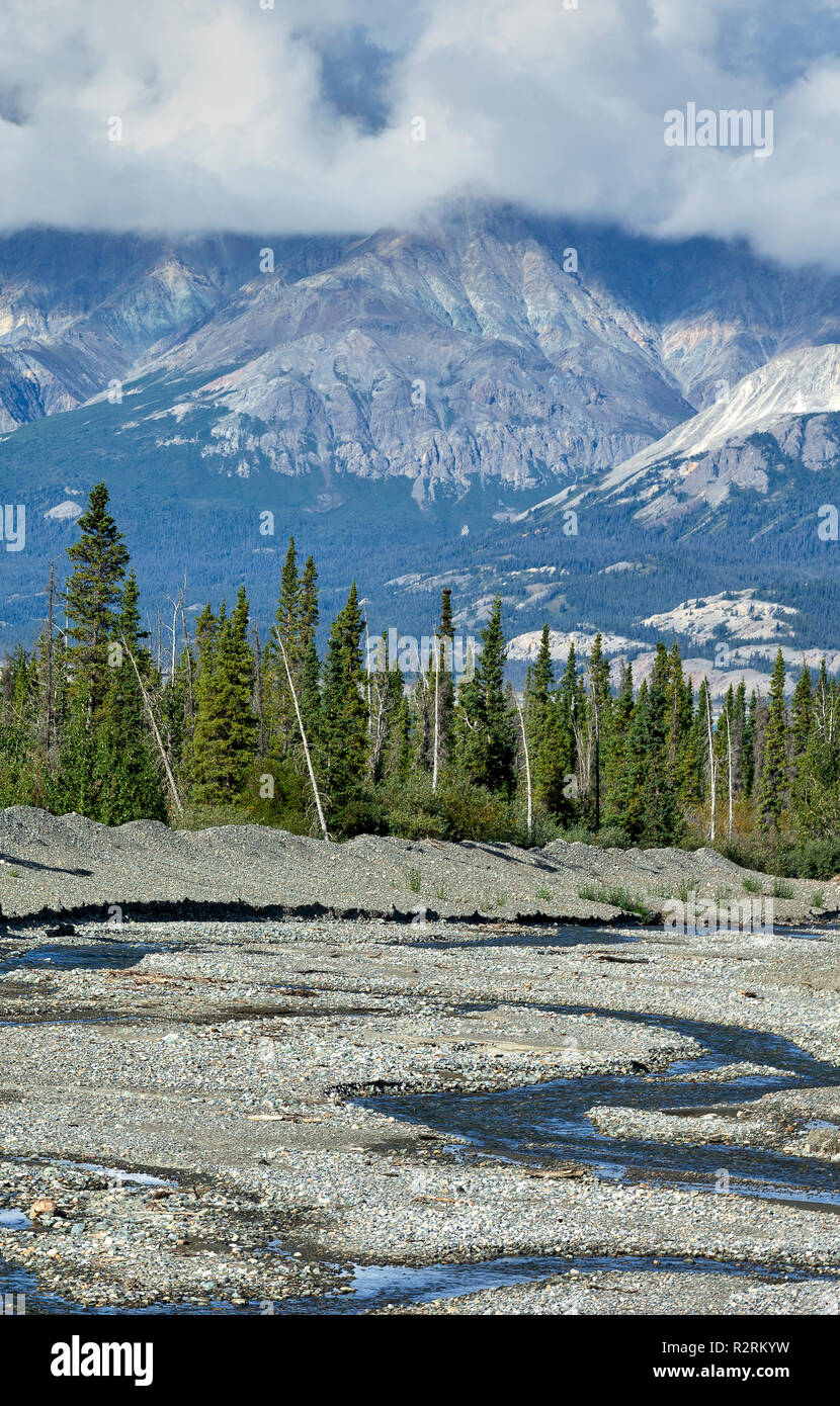 Eine Ansicht einer Riverbed nördlich von Haines Junction, Yukon Teritory, Kanada Stockfoto