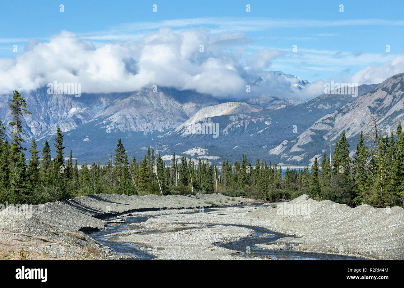 Eine Ansicht einer Riverbed nördlich von Haines Junction, Yukon Teritory, Kanada Stockfoto