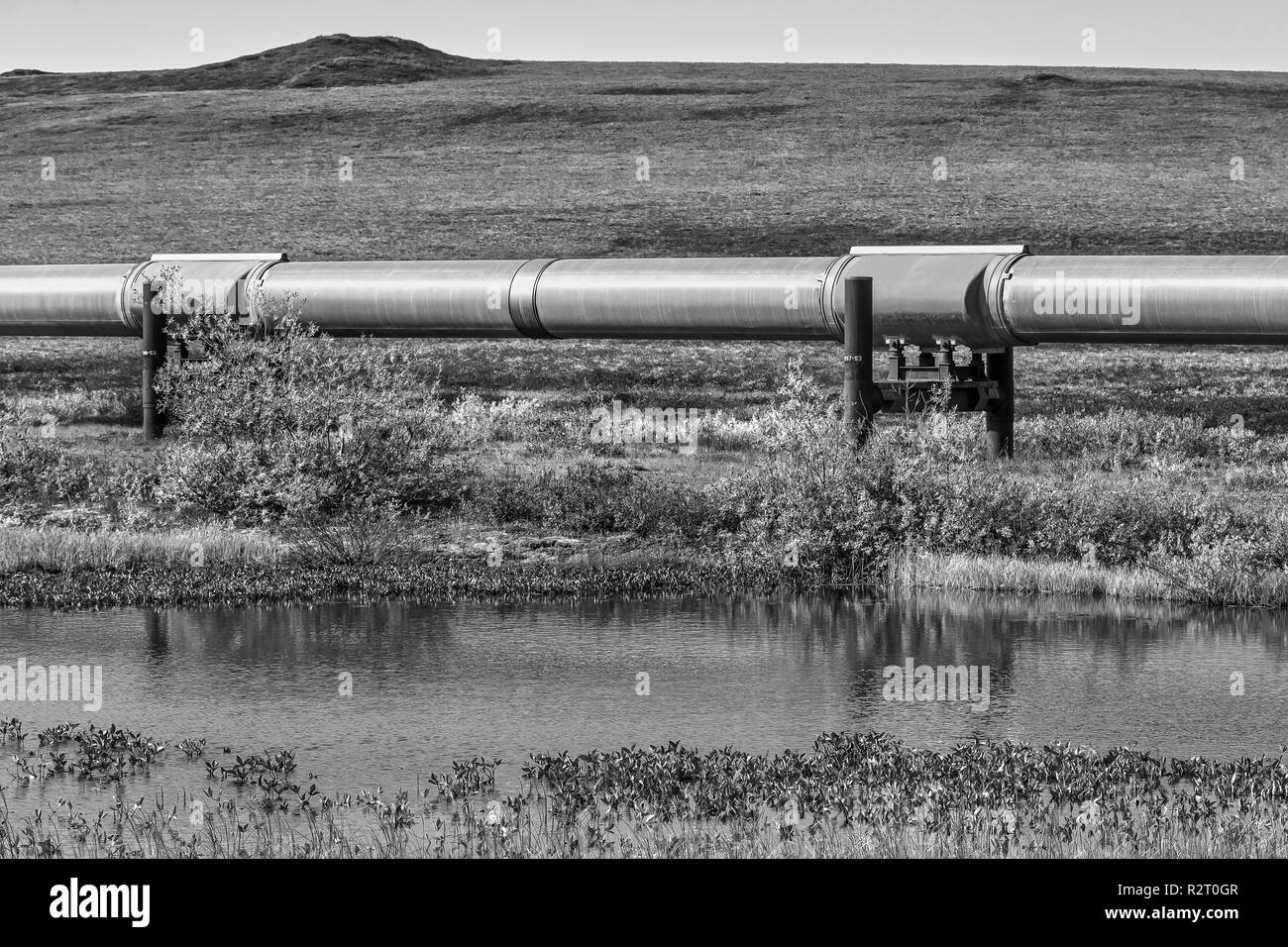 Eine Ansicht der Trans-Alaska Pipeline über die Tundra in Alaska, USA Stockfoto
