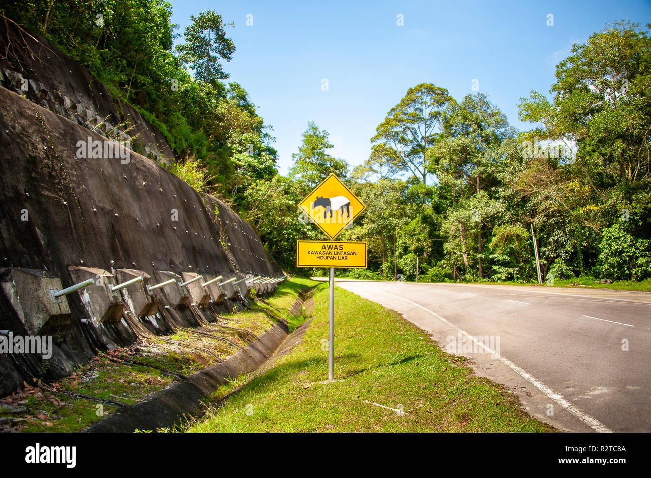 Malaysische Tapir (Tapirus indicus) Warnzeichen auf dem Weg zur Mount Angsi, Seremban, Malaysia. Gelbe Schild mit der Aufschrift 'Track Bereich - Wildlife' in einem grünen w Stockfoto