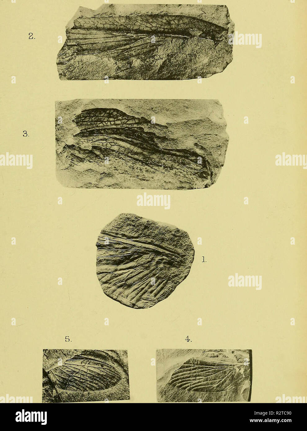 "Die Zeitschrift der Geological Society of London" (1845) Stockfoto