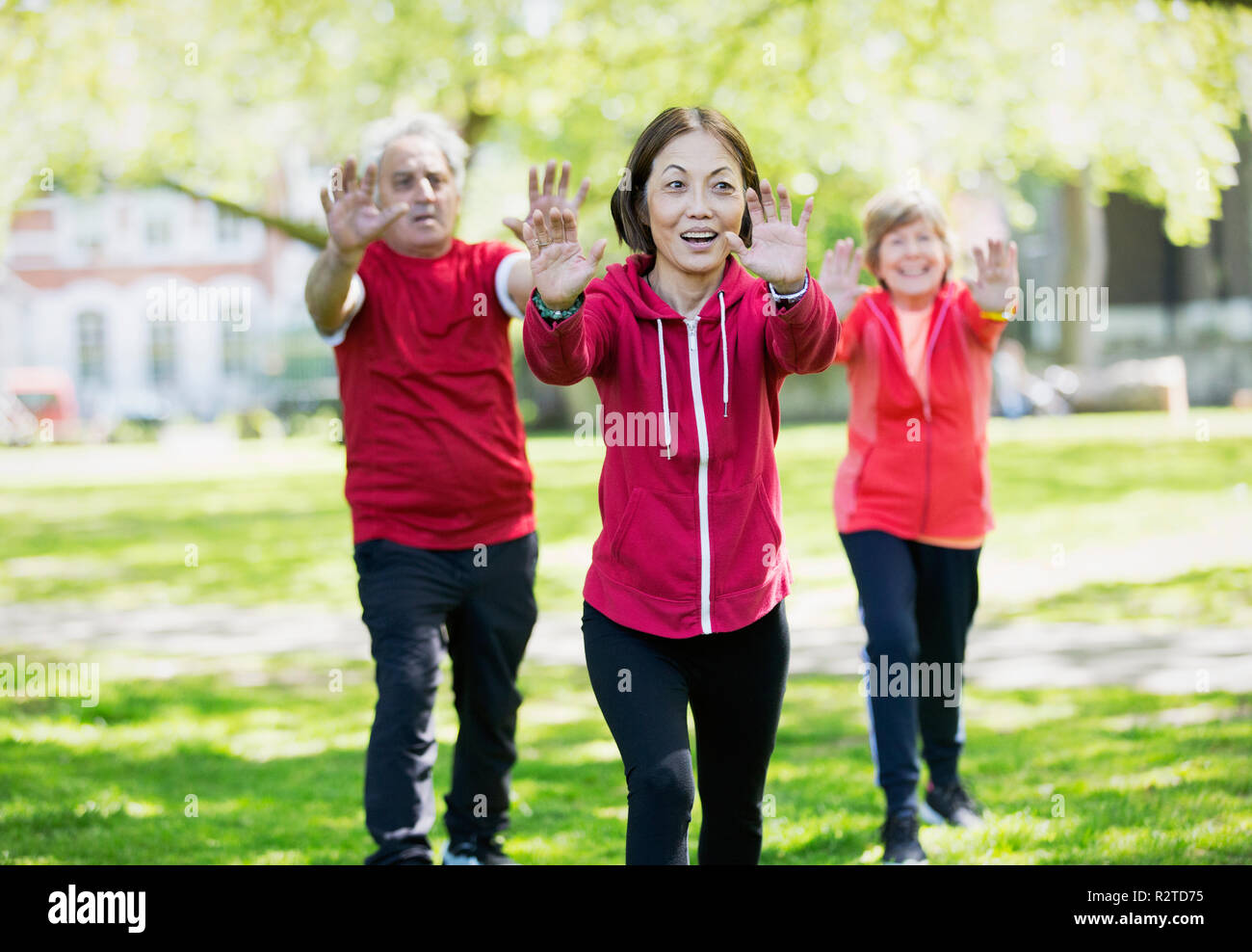 Aktive Senioren Üben von Tai Chi im Park Stockfoto