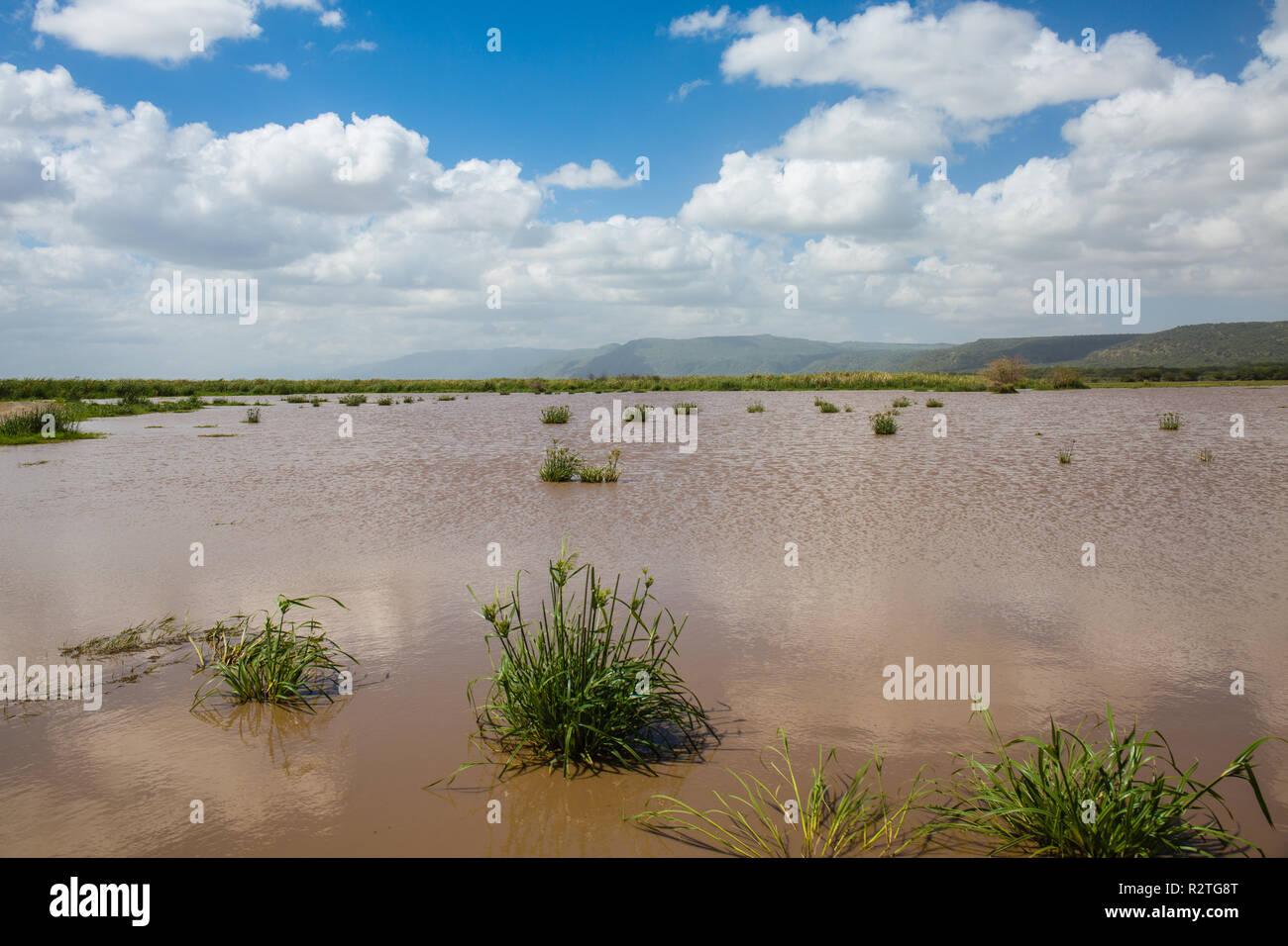 See Lake Manyara, Tansania Stockfoto