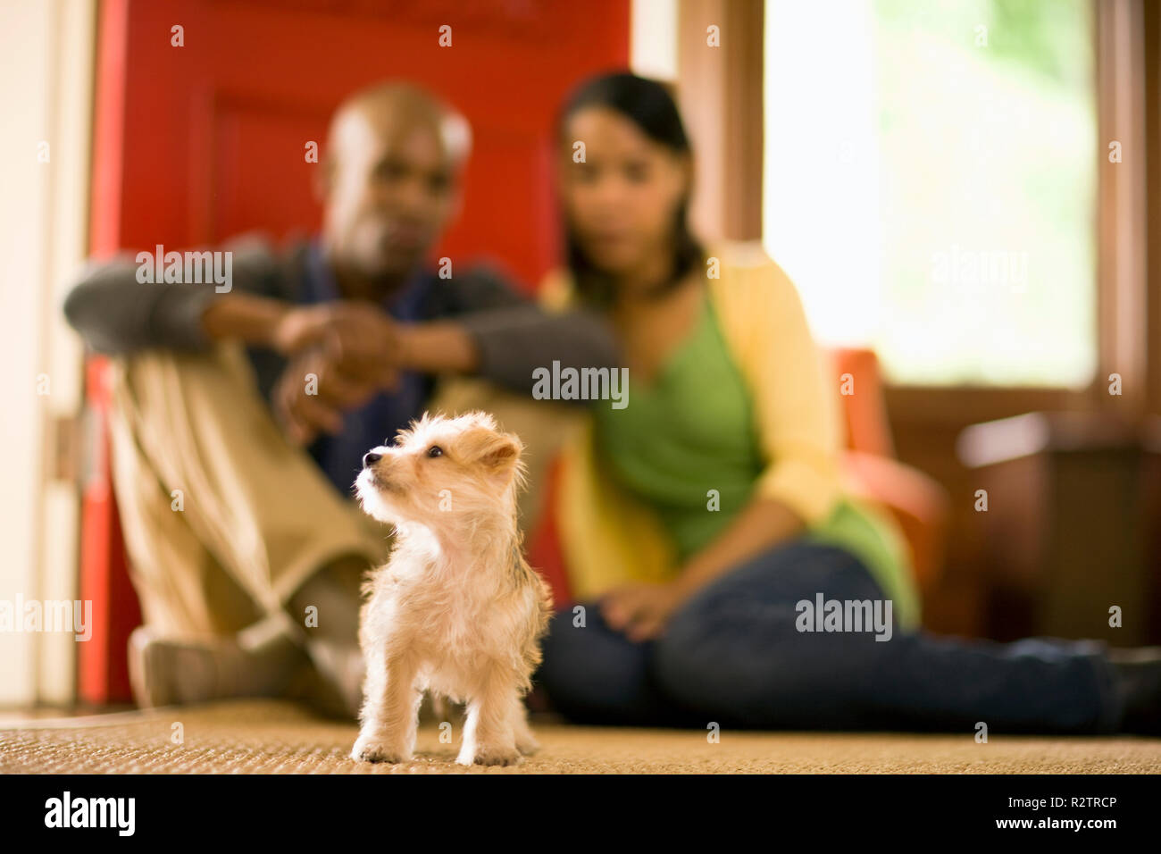 Paar Spaß mit Ihrem Hund. Stockfoto