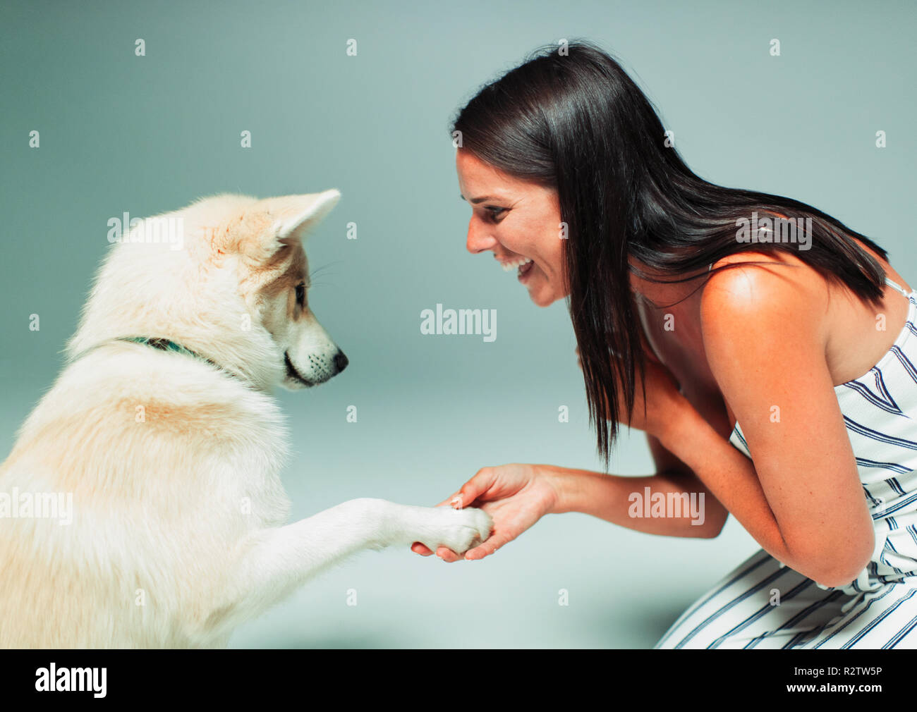 Lächelnde Frau schütteln Hunde Pfote Stockfoto