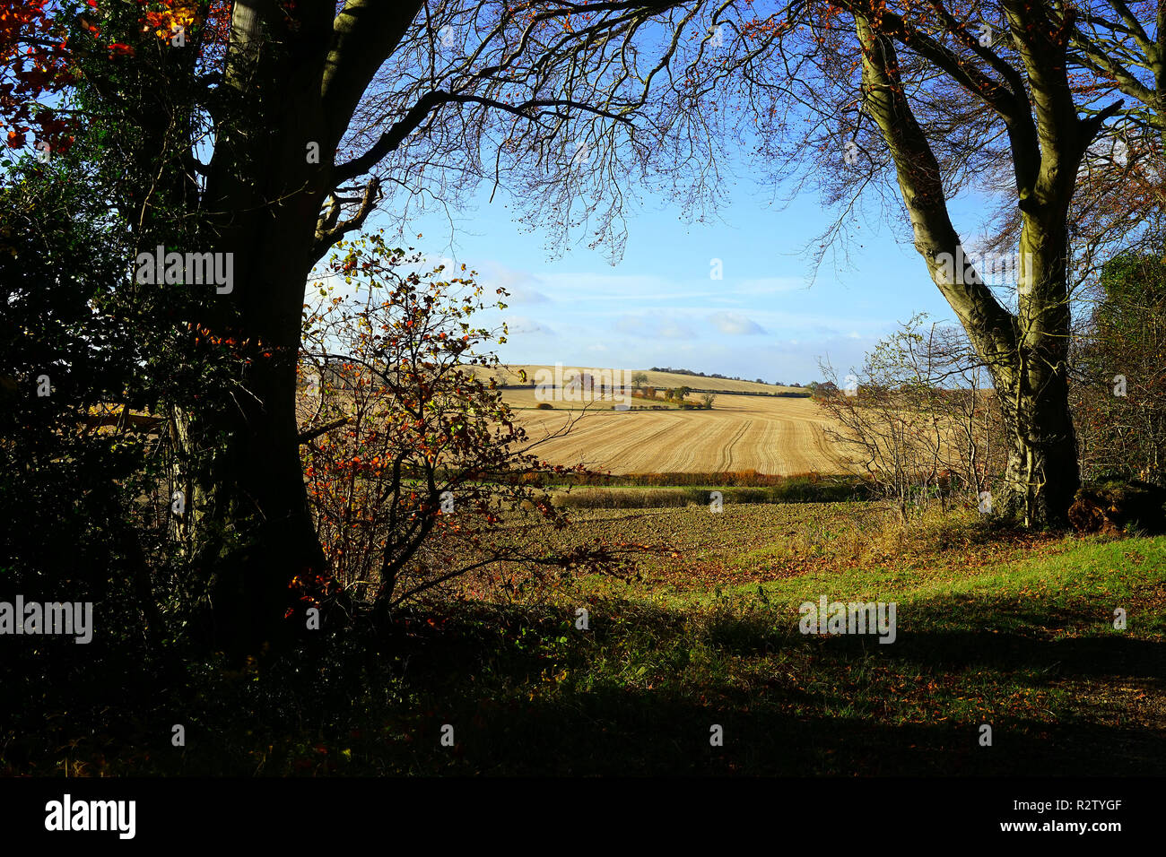 Ein Blick auf die Felder zwischen Lilley und Warden Hügel in Hertfordshire Stockfoto
