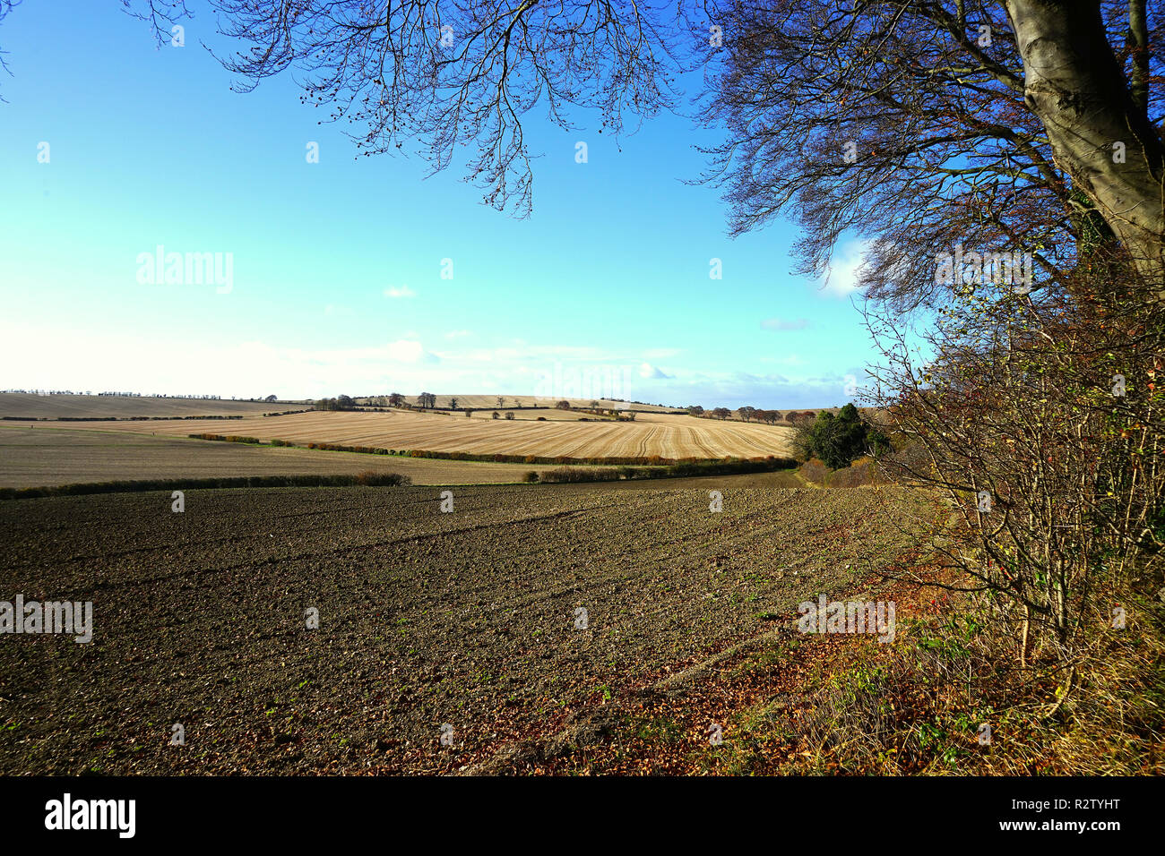 Ein Blick auf die Felder zwischen Lilley und Warden Hügel in Hertfordshire Stockfoto