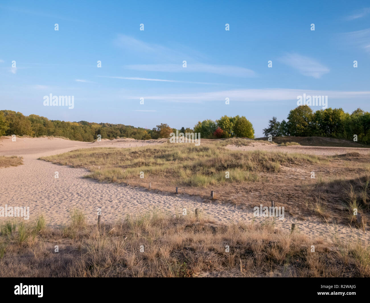 Blick nach Osten auf Sanddünen im Naturschutzgebiet Boberger Niederung in Hamburg, Deutschland. Stockfoto