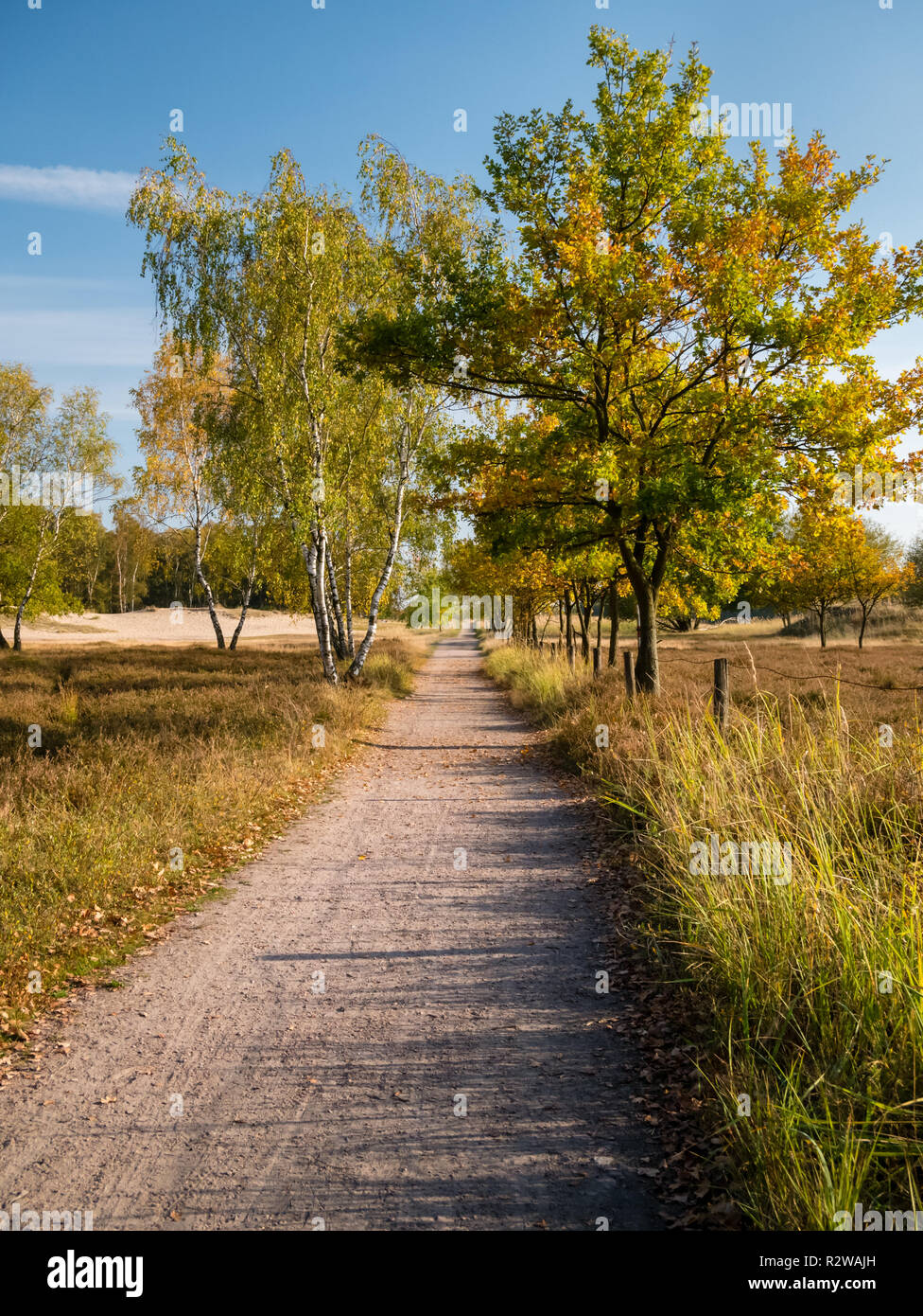 Sandigen weg im Naturschutzgebiet Boberger Niederung in Hamburg, Deutschland. Stockfoto
