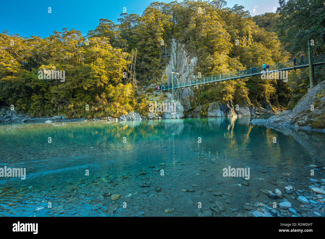 Berühmte turist Anziehung - Blue Pools, Haast Pass, Neuseeland, Südinsel Stockfoto