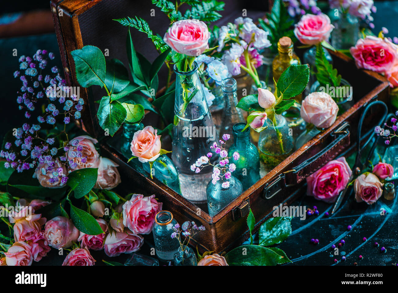 Flower collection, Rosen, und Gypsophila in vintage Glasflaschen in einem Koffer. Botanik und Parfüm Kopf auf einem dunklen Hintergrund mit kopieren. Stockfoto