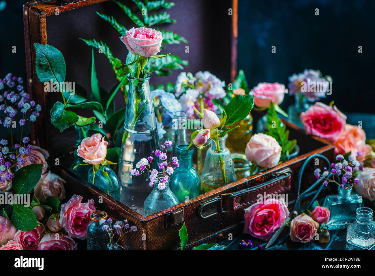 Blume Sammlung in vintage Glas Gläser, Vasen, und Fläschchen in einem Koffer. Botanik und Parfüm Konzept auf einem dunklen Hintergrund mit Kopie Raum Stockfoto