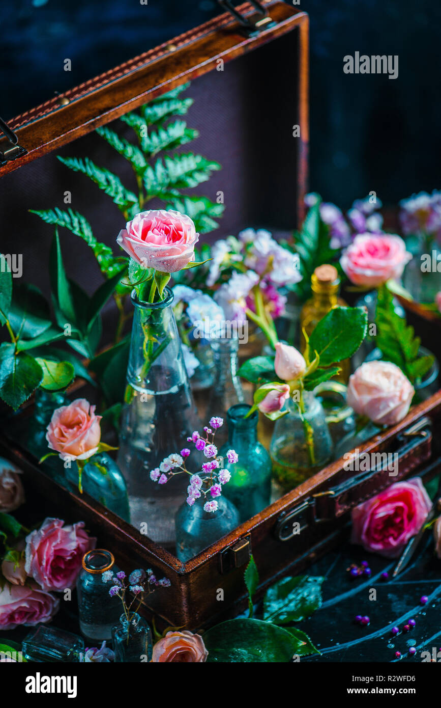 Blume Sammlung in vintage Glas Gläser, Vasen, und Fläschchen in einem Koffer. Botanik und Parfüm Konzept auf einem dunklen Hintergrund mit Kopie Raum Stockfoto