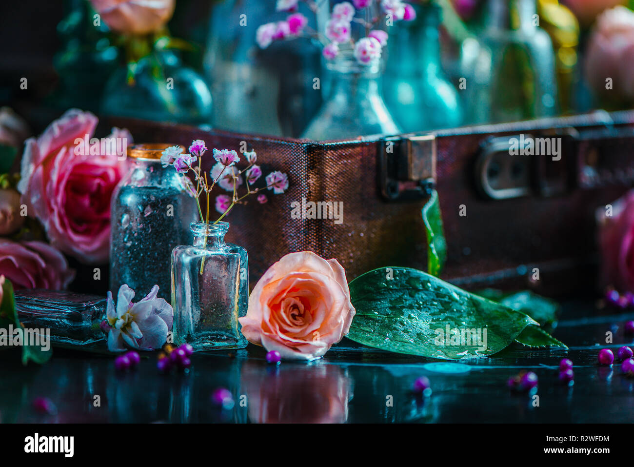 Blume Sammlung in vintage Glasflaschen close-up. Botanik und Parfüm Kopf auf einem dunklen Hintergrund mit kopieren. Farbe, Kontrast und Hintergrundbeleuchtung Stockfoto