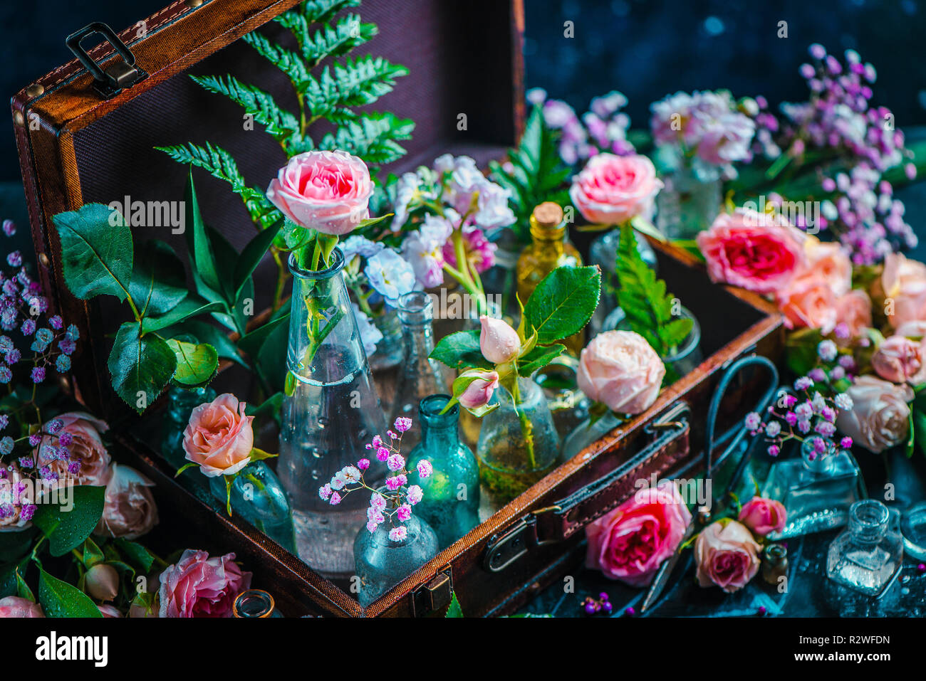 Flower collection, Rosen, und Gypsophila in vintage Glasflaschen in einem Koffer. Botanik und Parfüm Kopf auf einem dunklen Hintergrund mit kopieren. Stockfoto