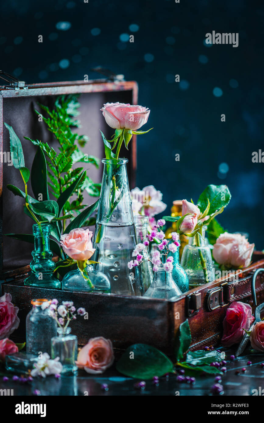 Blume immer noch Leben. Rosen und Blätter in vintage Glasflaschen close-up. Botanik und Parfüm Kopf auf einem dunklen Hintergrund mit kopieren. Farbkontrast Stockfoto