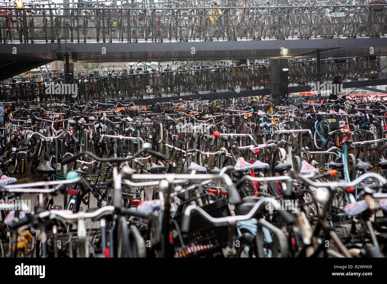 Fahrradverleih, Parkplatz in der Nähe von Amsterdamer Hauptbahnhof Stockfoto