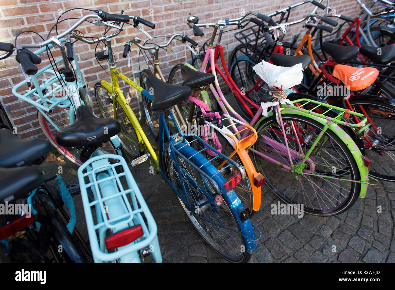 Fahrradverleih, Parkplatz an der Universität Groningen Stockfoto