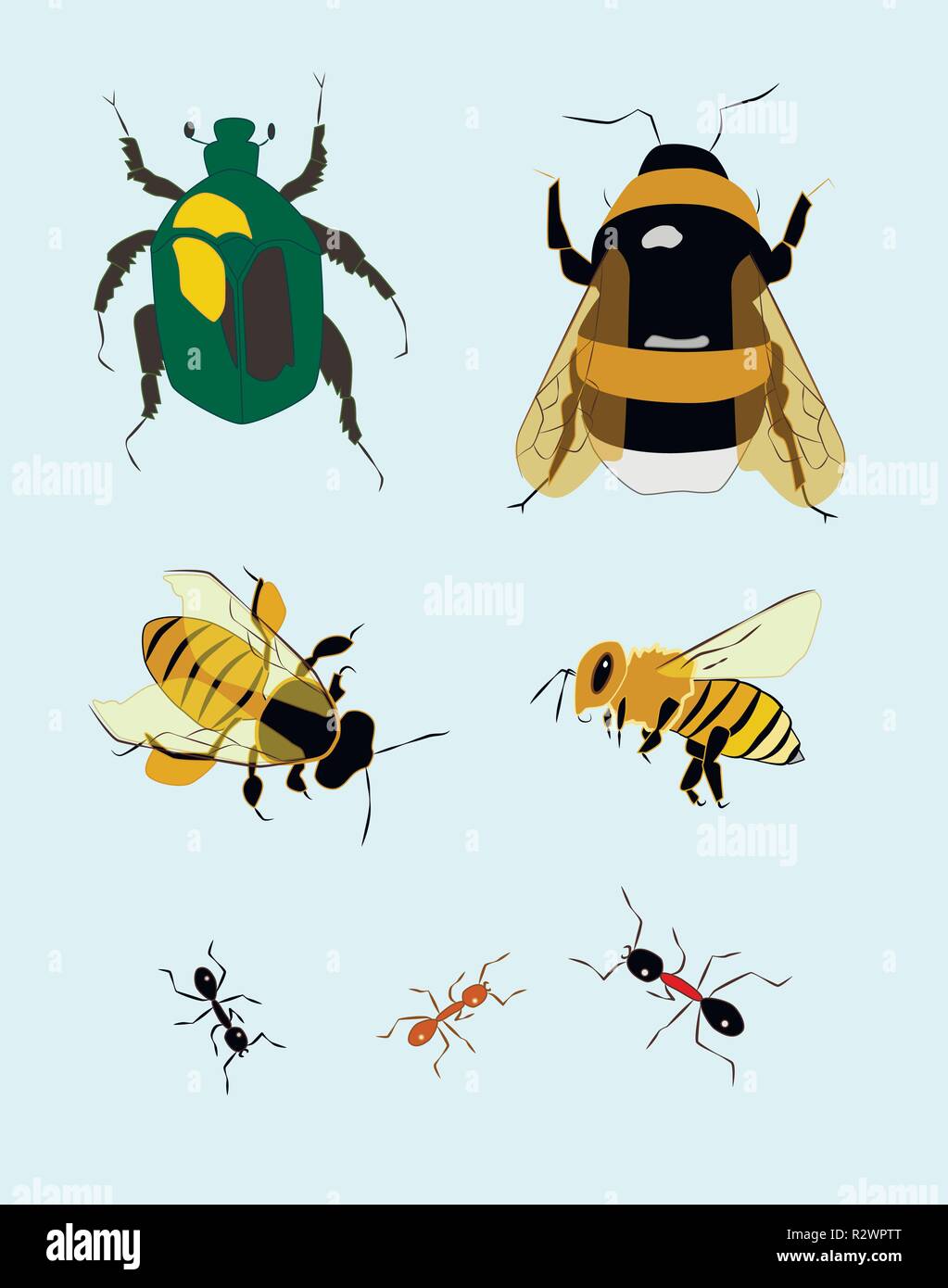 Der Garten Insekten, Vektor, Abbildung Stock Vektor