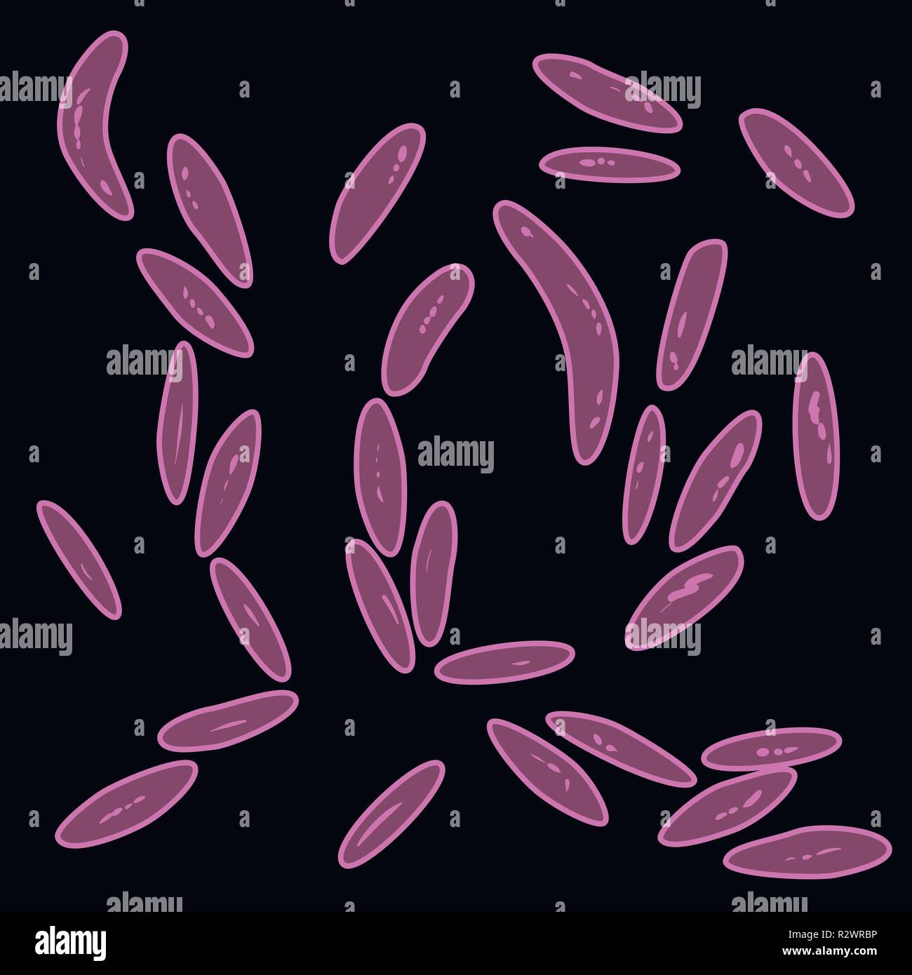 Gruppe der Bacteroidetes auf schwarzem Hintergrund, Vector Illustration Stock Vektor