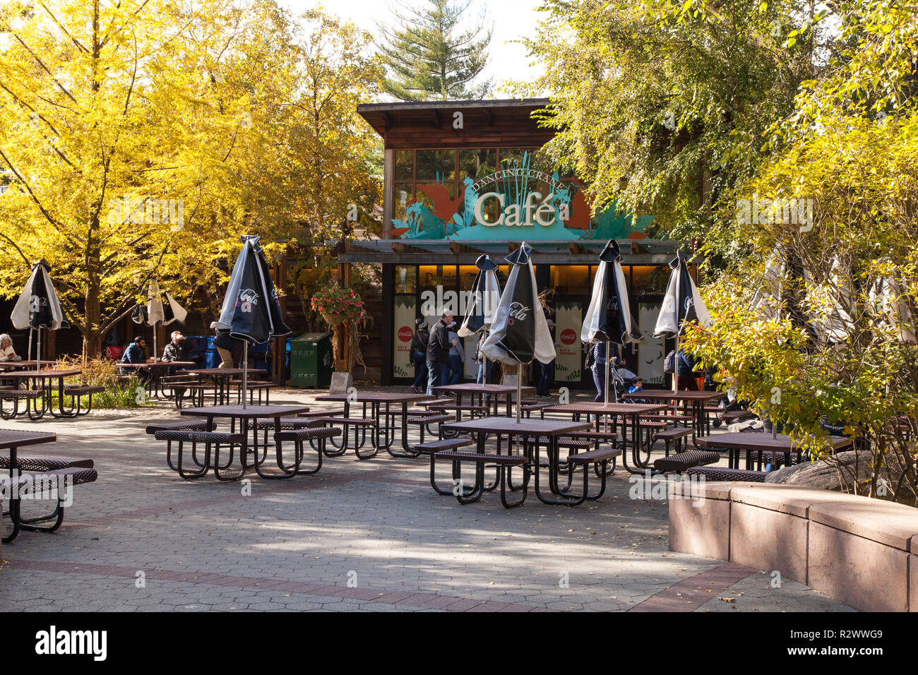 Café im Bronx Zoo, New York, Vereinigte Staaten von Amerika. Stockfoto