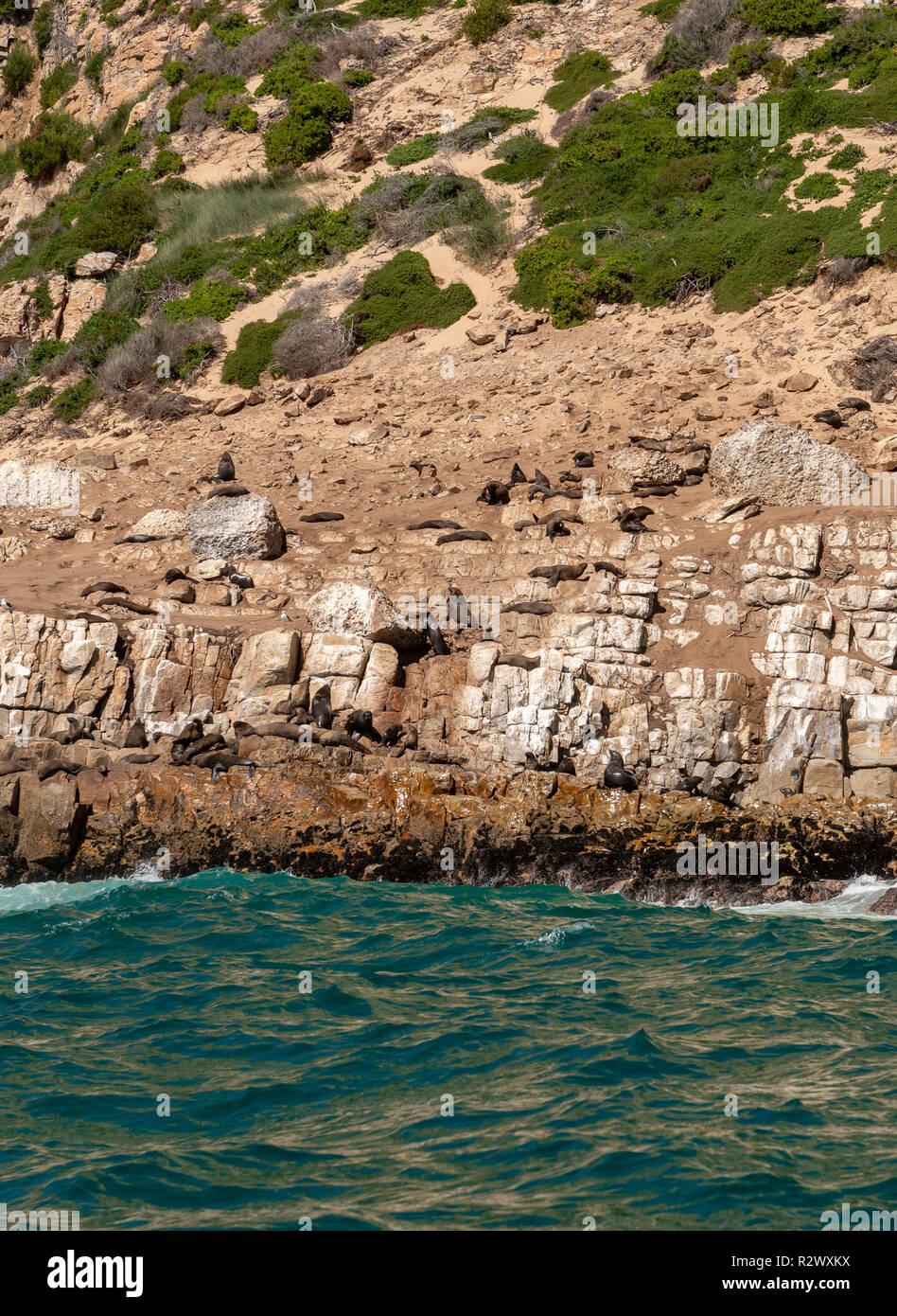 Robberg Naturreservat, Robberg, Südafrika Stockfoto