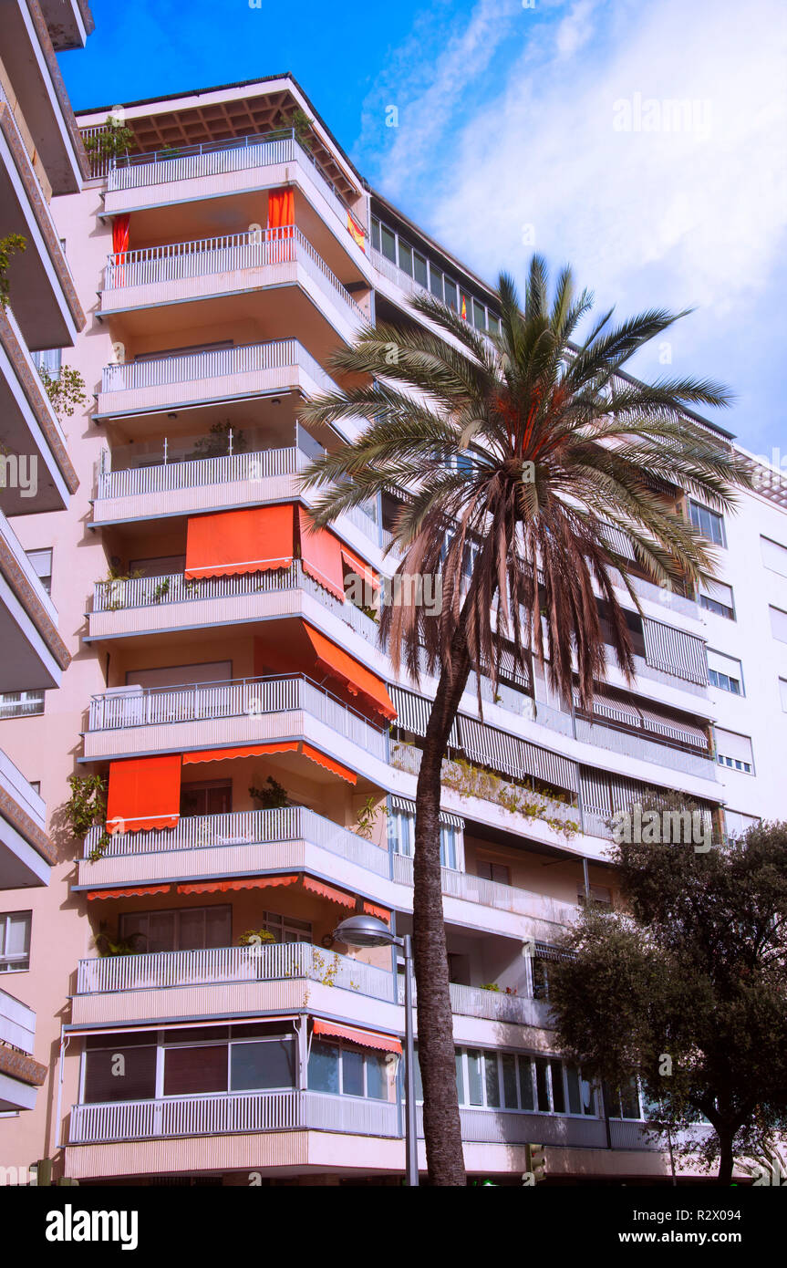 Palm Tree vor hohen Gebäude, Herbst Stockfoto