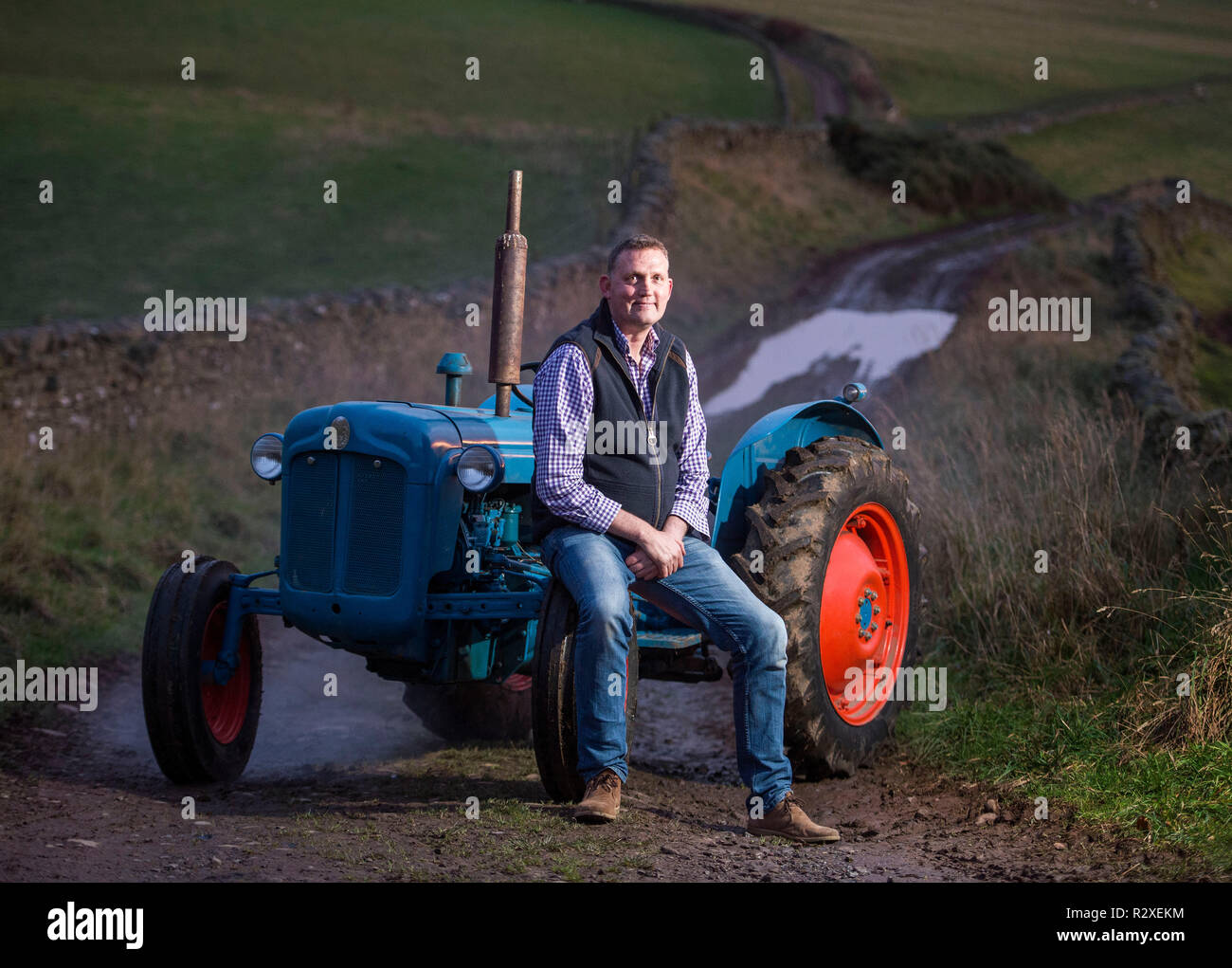 Ehemaliger schottischer Rugbyspieler Doddie Wehr dargestellt mit seinen fordson Dexta Schlepper auf seiner Farm in der Nähe von Galashiels. Stockfoto