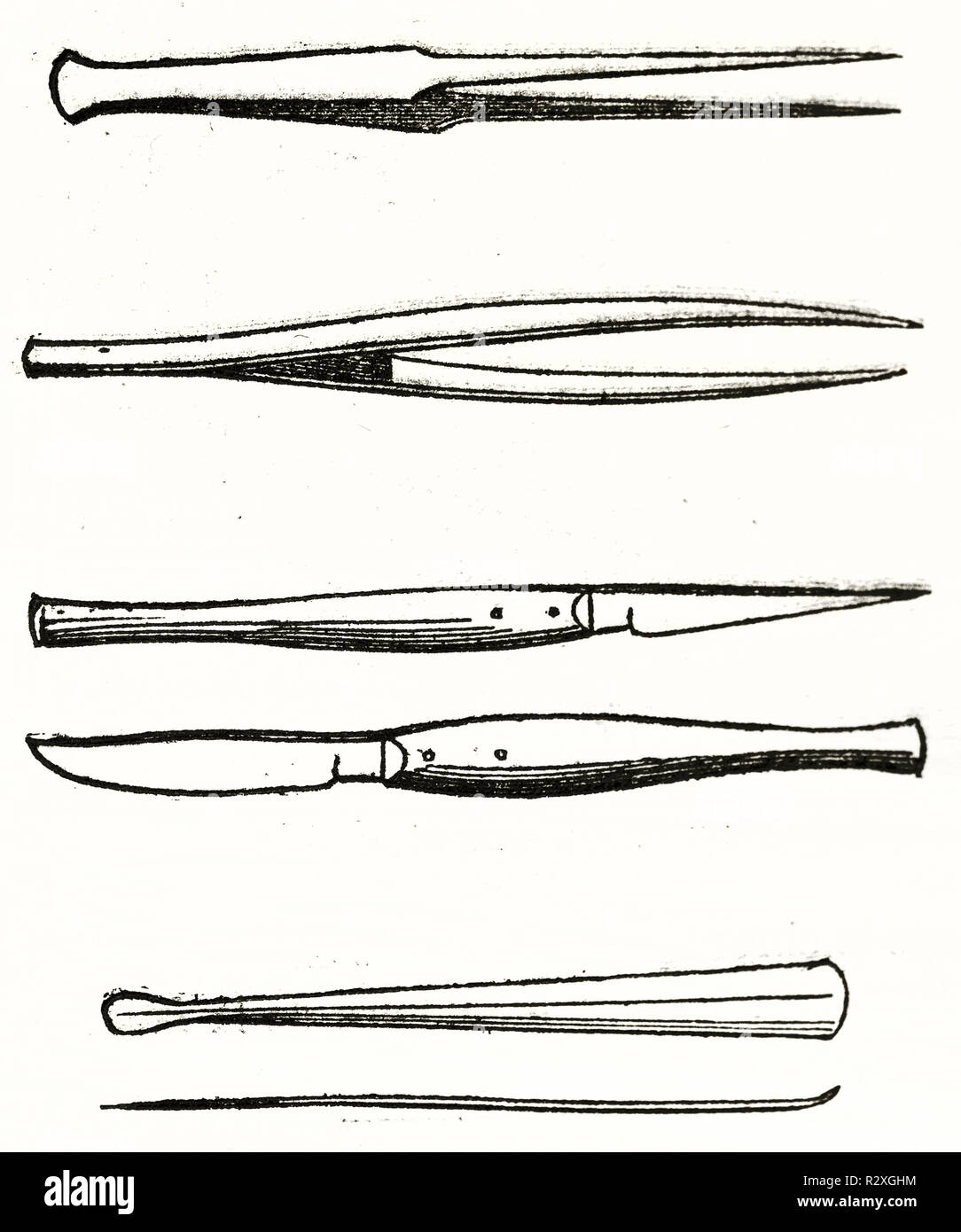 Alte Abbildung: taxidermy Utensilien. Von unbekannter Autor, Hrsg. auf Magasin Pittoresque, Paris, 1846 Stockfoto