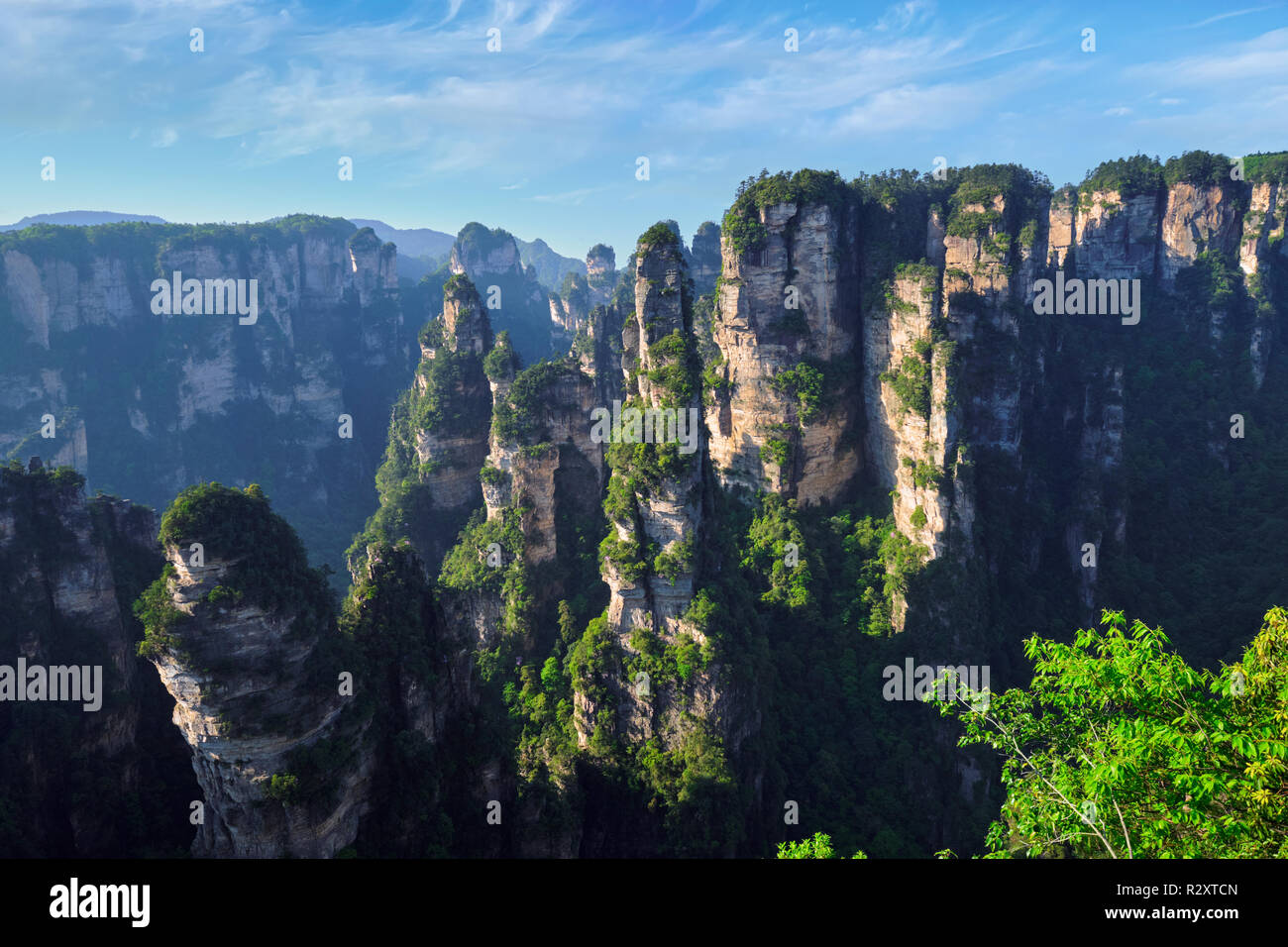 Zhangjiajie Berge, China Stockfoto