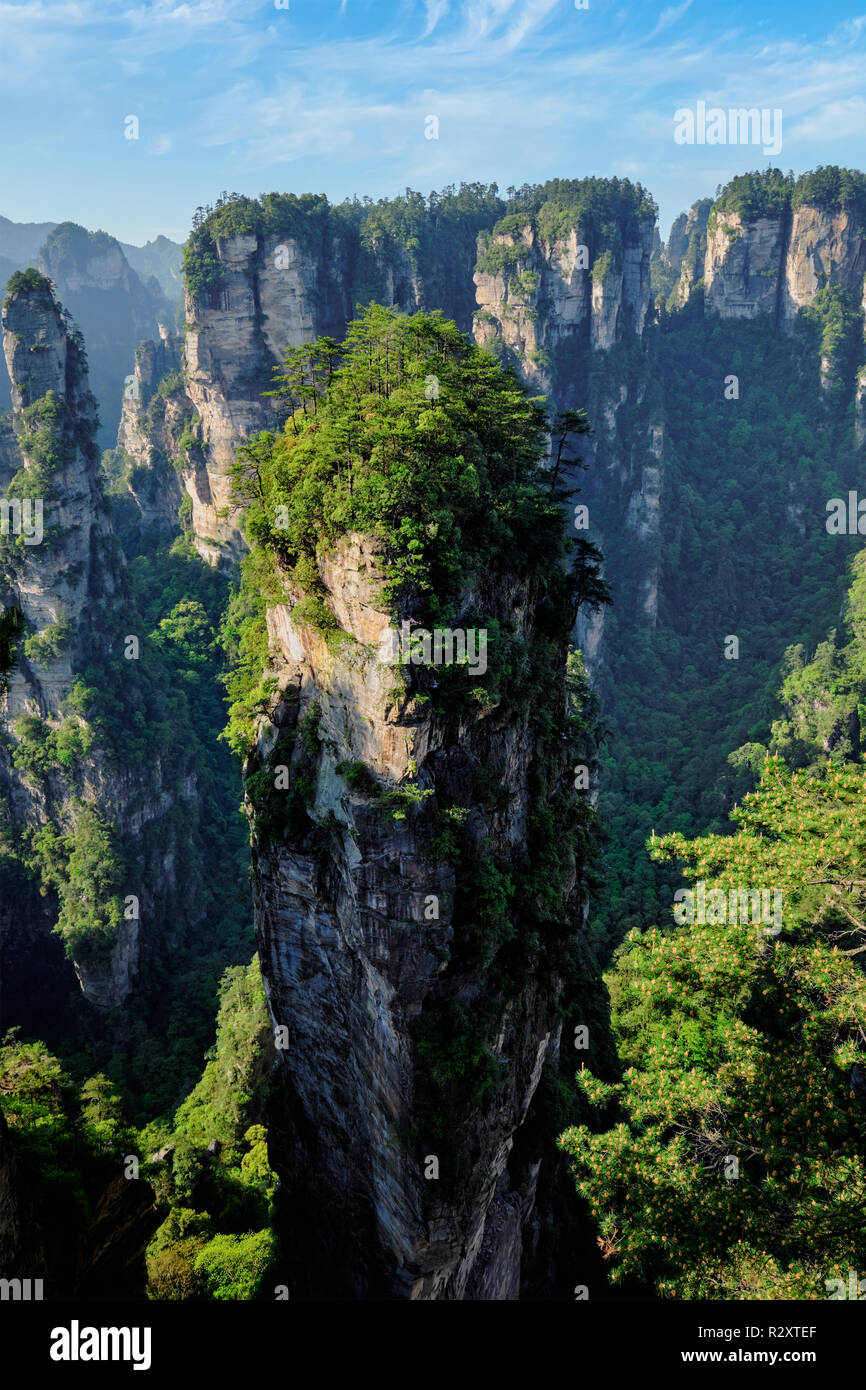 Zhangjiajie Berge, China Stockfoto