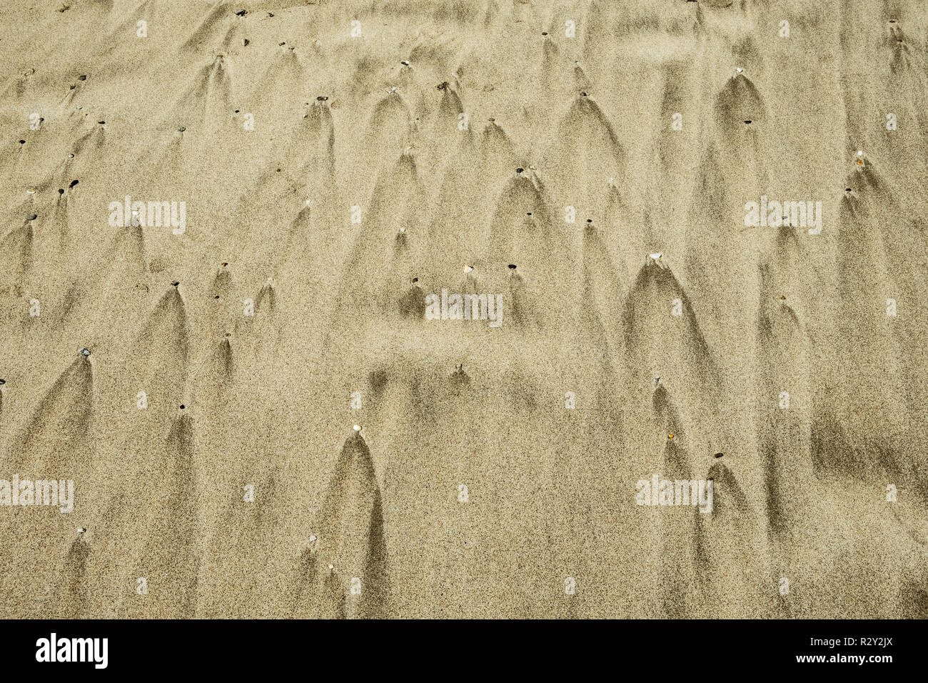 Die Muster, die durch den Rückzug der Gezeiten Wasser an einem Sandstrand und Kleine Luftlöcher. Stockfoto