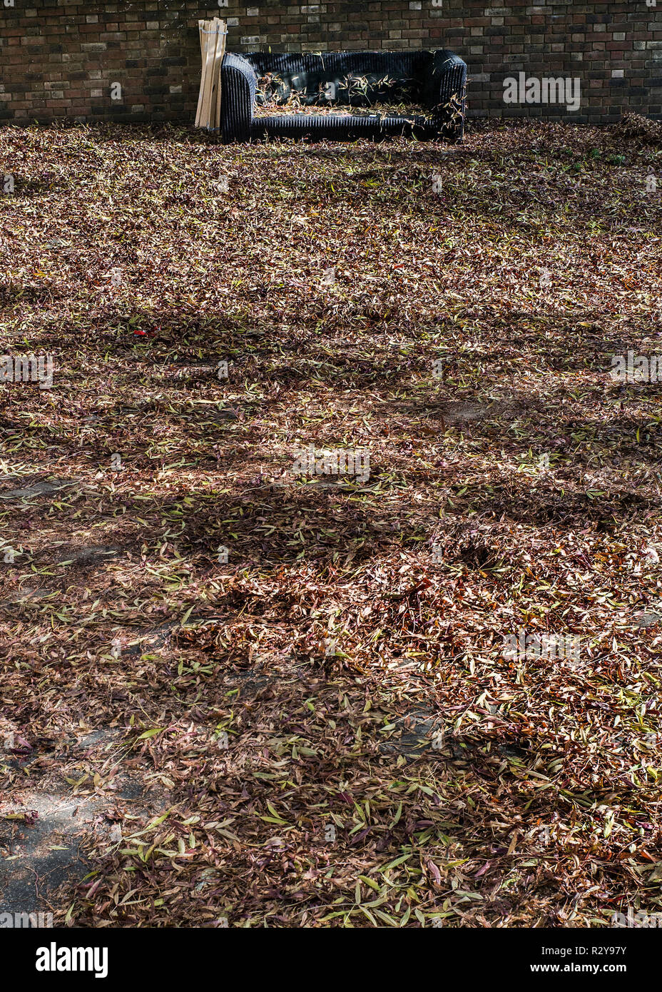Abgebrochene Sofa im herbstlichen Blätter Stockfoto