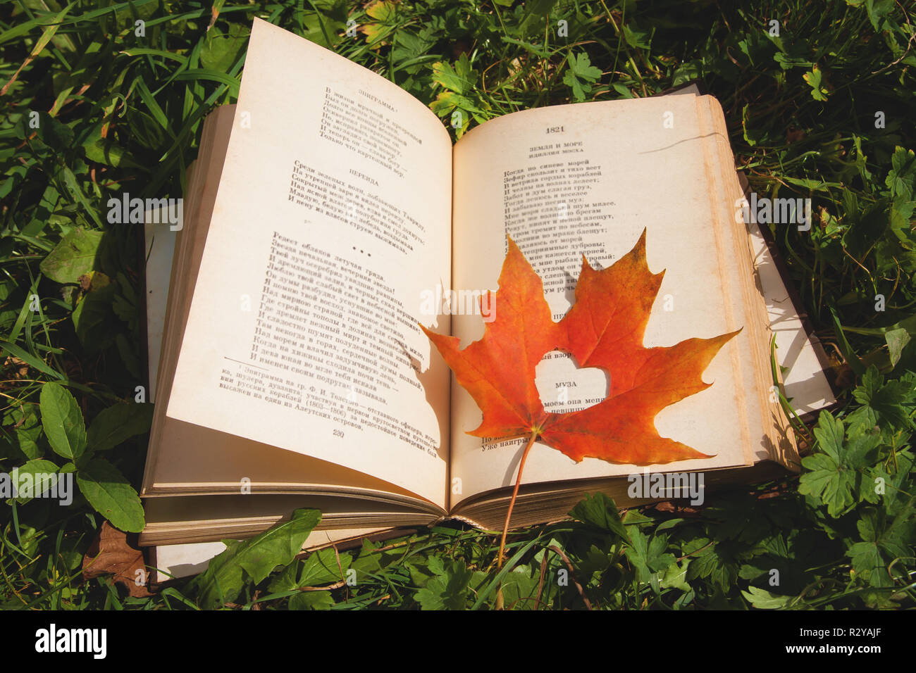 Buch mit einem Maple Leaf in Form von einem Herz liegt im Gras. Stockfoto
