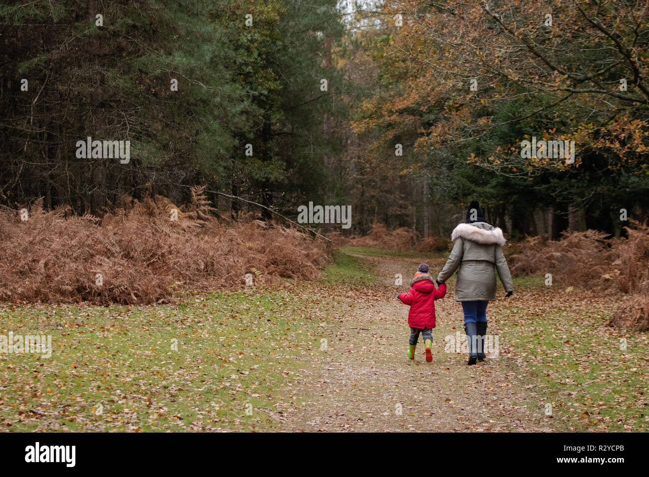 Mutter und Sohn durch den Wald laufen in Gummistiefel im Herbst Stockfoto