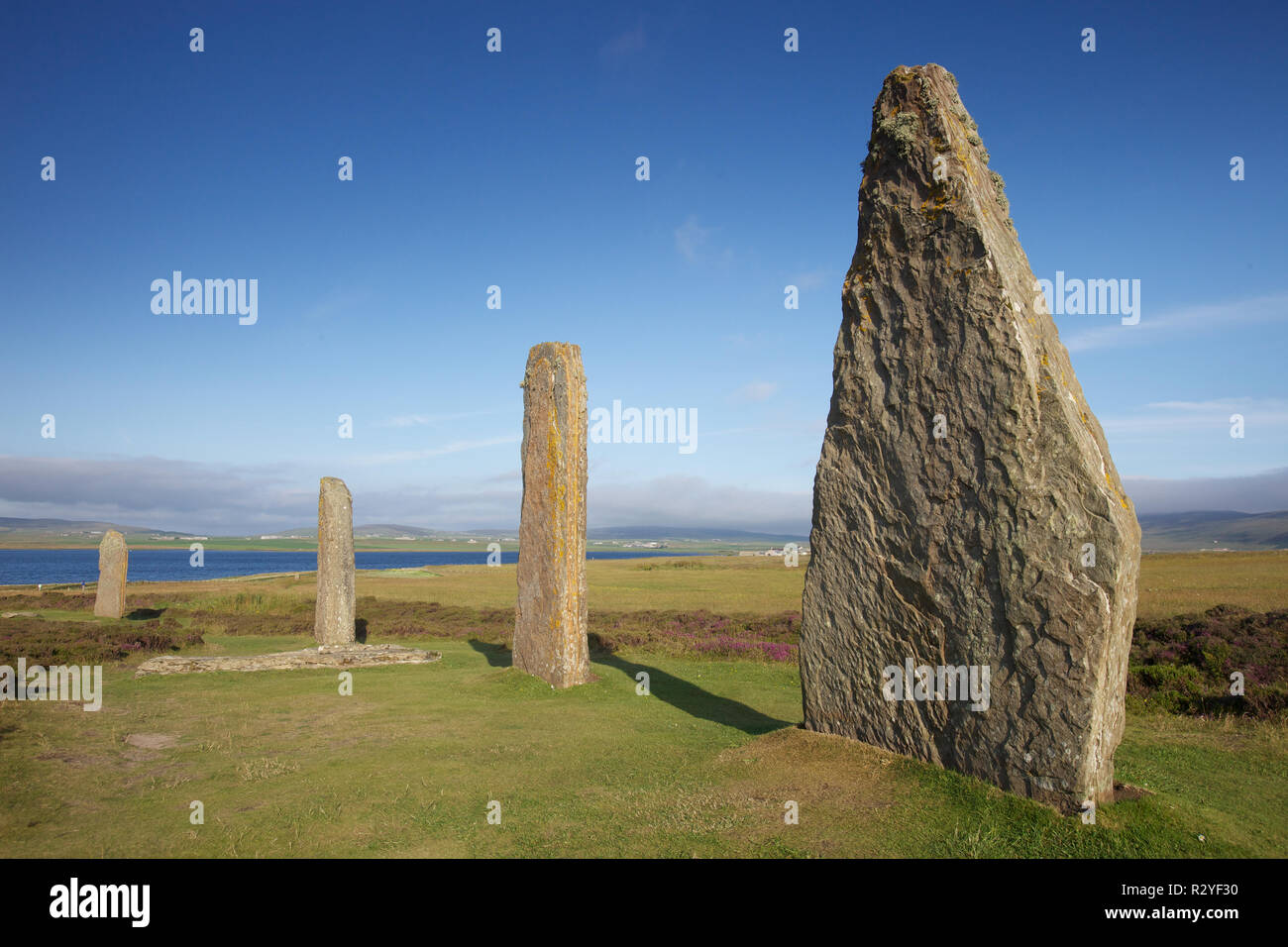 Ring of Brodgar - Menhire in Orkney Stockfoto