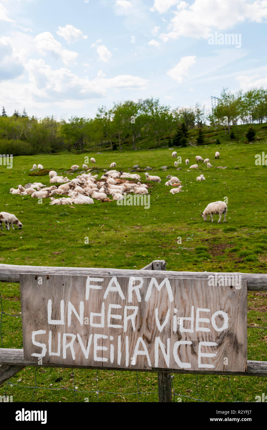 Bauernhof mit Videoüberwachung sign on-farm-gate. Stockfoto