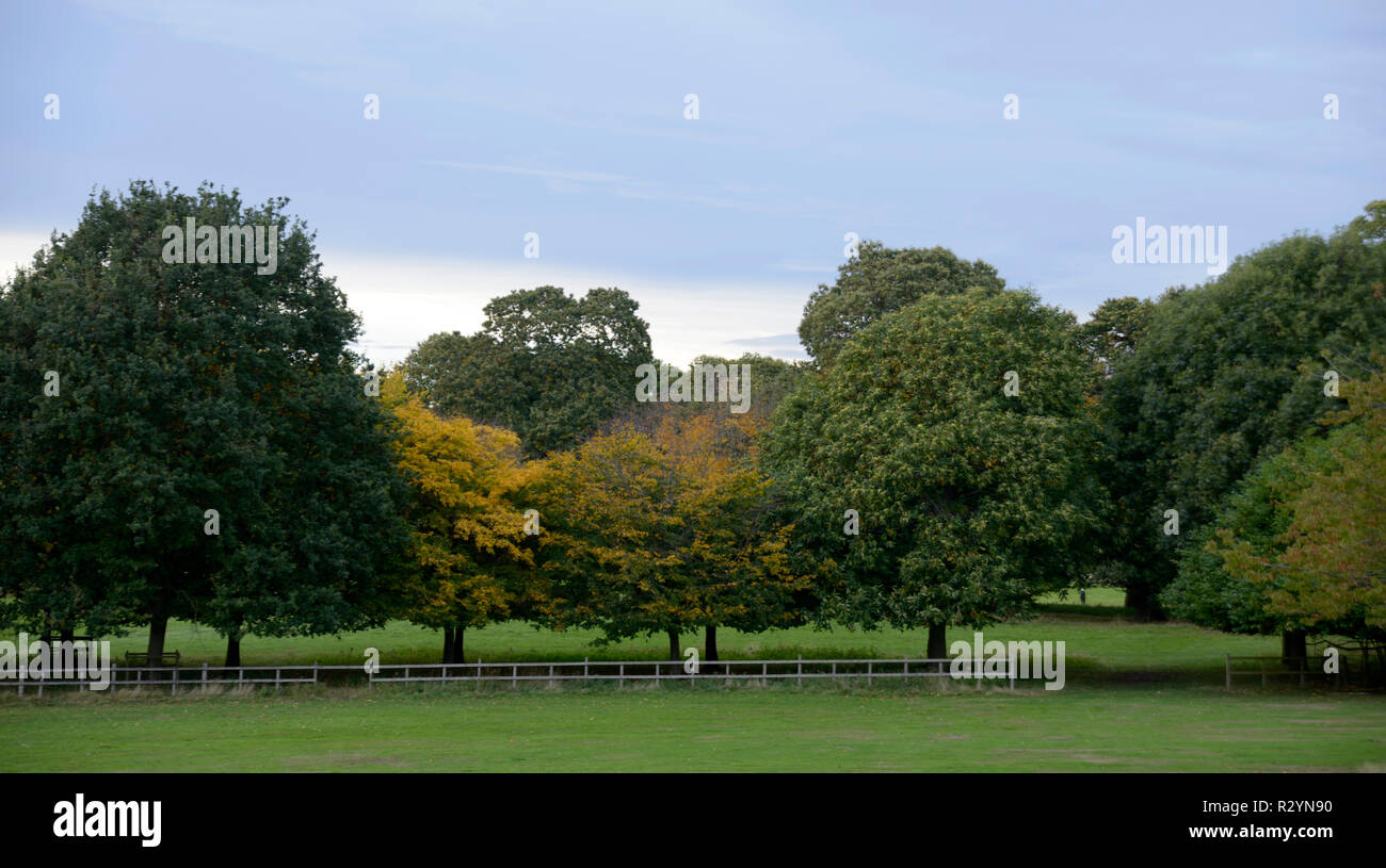 Herbst Anfang, Wollaton Park, Nottingham, England. Stockfoto