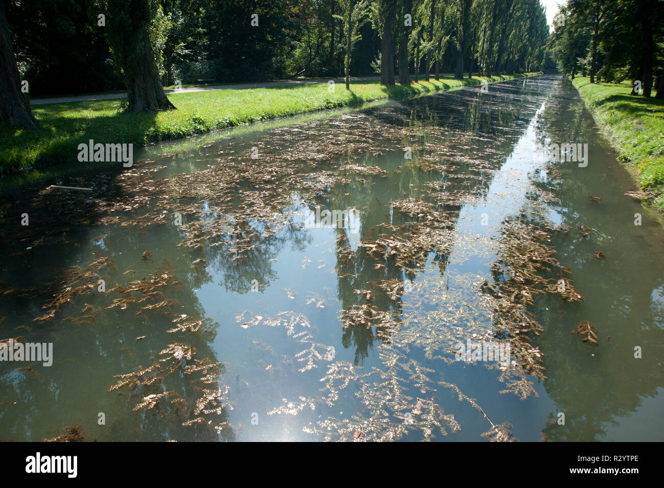 Nach 1780 wurde unter Kaiser Joseph II., dem Sohn Maria Theresias, der ungefähr 250 ha große Schlosspark in einen englischen Landschaftsgarten umgesta Stockfoto