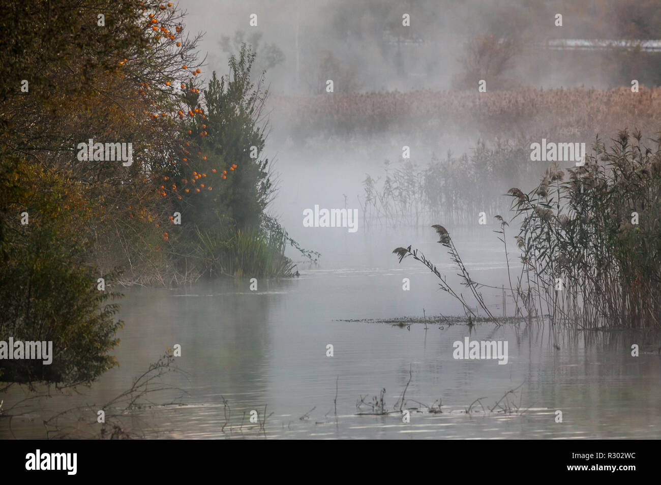 Nebel auf die Quellen des Flusses Pescara Stockfoto