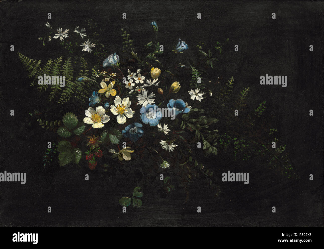 Spray von Blumen und Farne. Vom: Datum unbekannt. Maße: Gesamt: 25.4 x 35.24 cm (10 x 13 7/8 in.) gerahmt: 33.66 x 43.66 x 2.86 cm (13 1/4 x 17 1/4 x 1 1/8 in.). Medium: Öl auf Metall. Museum: Nationalgalerie, Washington DC. Autor: Titian Ramsay Peale. Stockfoto