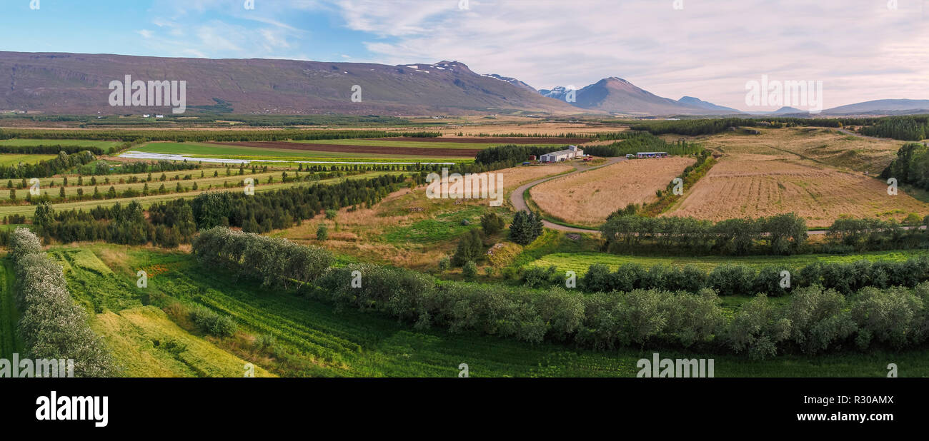 Ackerland, Fljotsdalur Tal, Ost, Island. Dieses Bild ist mit einer Drohne erschossen. Stockfoto