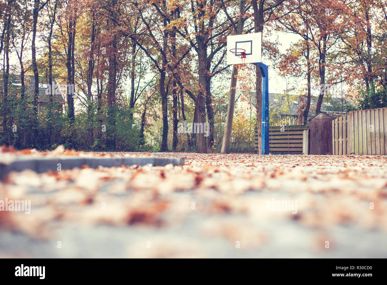 Herbst im Park mit Basketballplatz Stockfoto