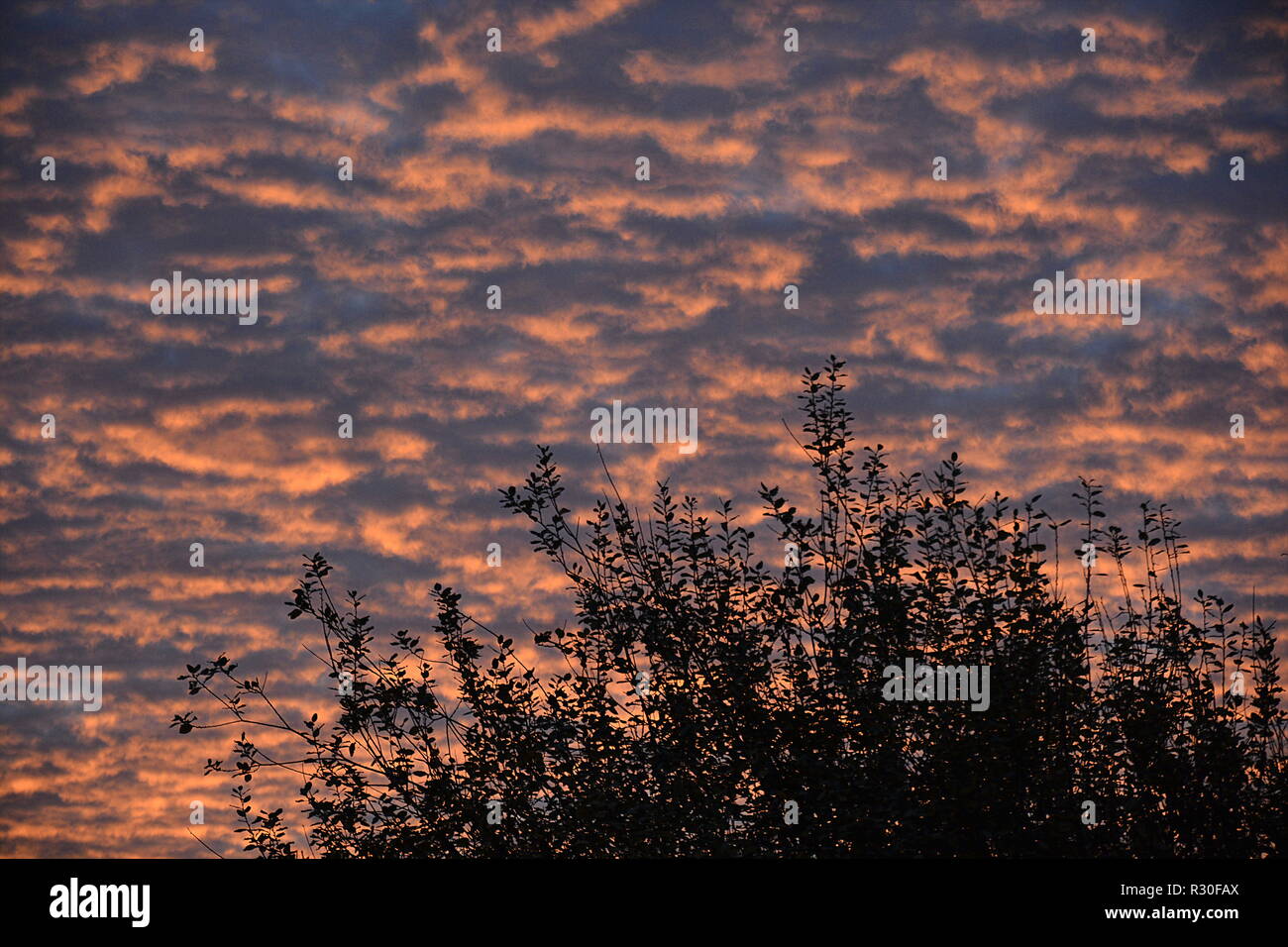 Sonnenaufgang Hintergrund Abendrot Stockfoto