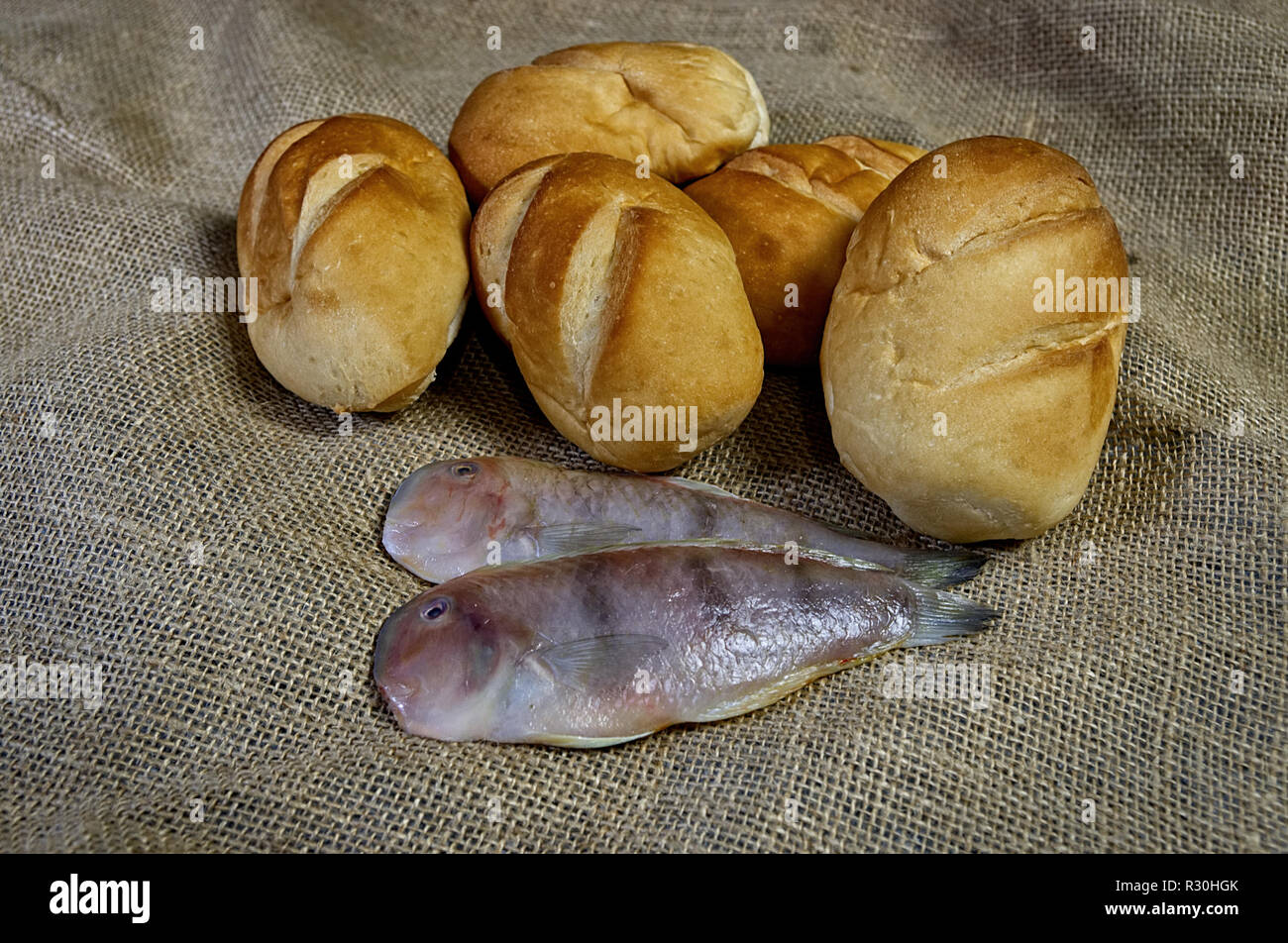 Fische und Brote Stockfoto
