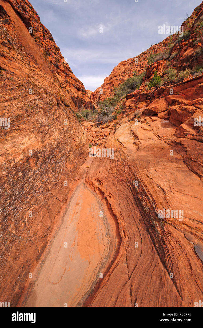 Enge Schlucht im Snow Canyon State Park in Utah Stockfoto