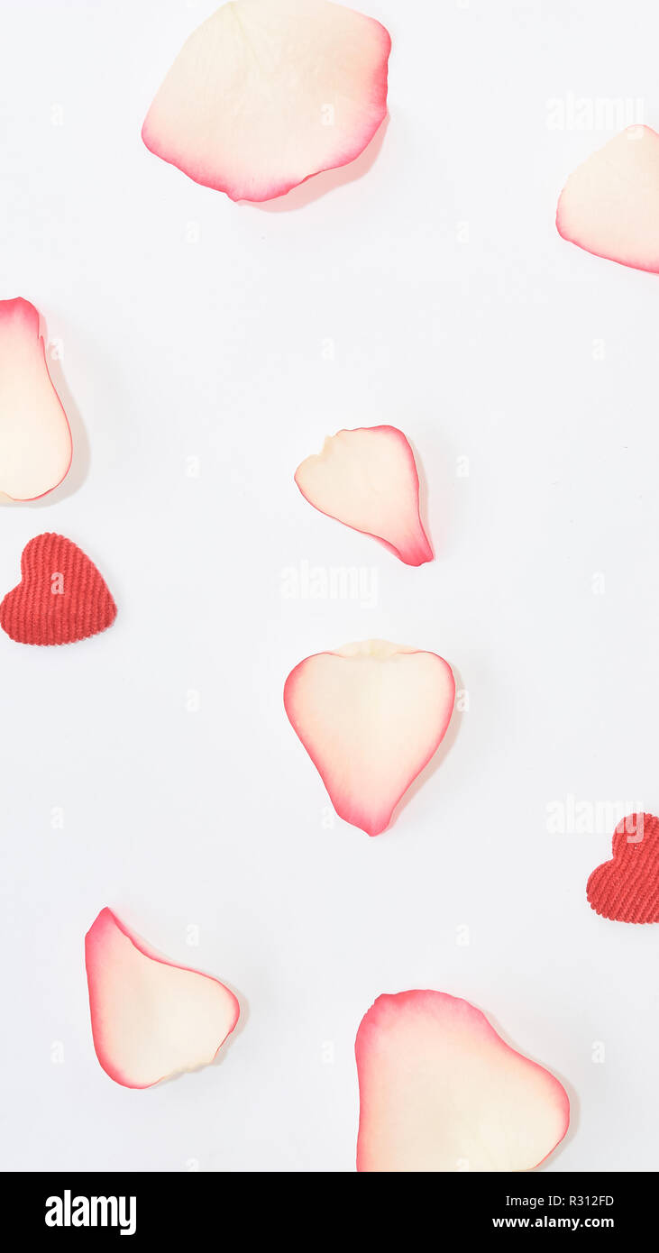 Geschenk und Rosen Zusammensetzung auf den weißen Hintergrund. Ansicht von oben, flach. Geburtstag, Mutter, Valentines, Frauen, Hochzeit Konzept. Stockfoto