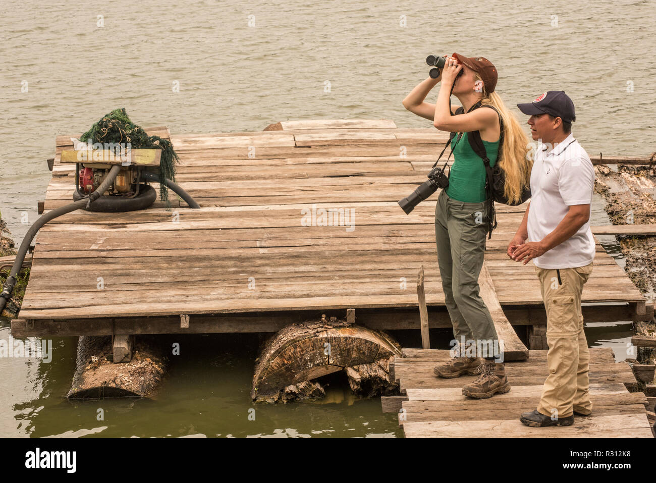 Ein Tourist auf Vögel Overhead in der Kolumbianischen Amazon suchen. Stockfoto