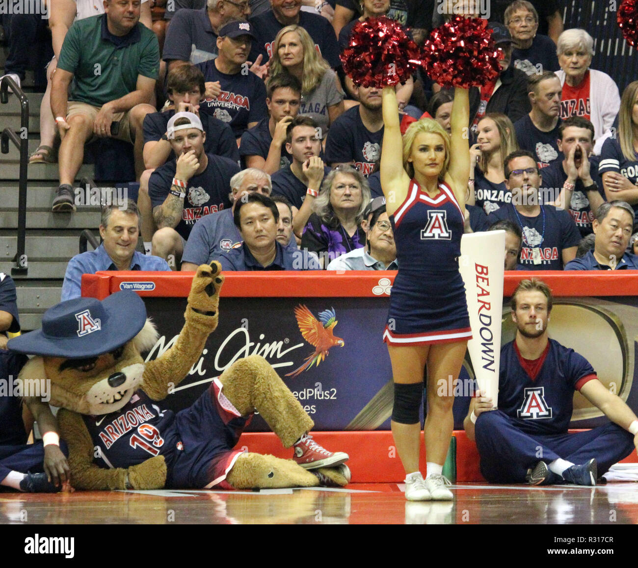 November 17, 2018 - Arizona Cheerleadern während einer Einladungs Maui Spiel zwischen den Gonzaga Bulldogs und die Arizona Wildcats am Civic Center in Lahaina Lahaina, Maui, HI Michael Sullivan/CSM Stockfoto